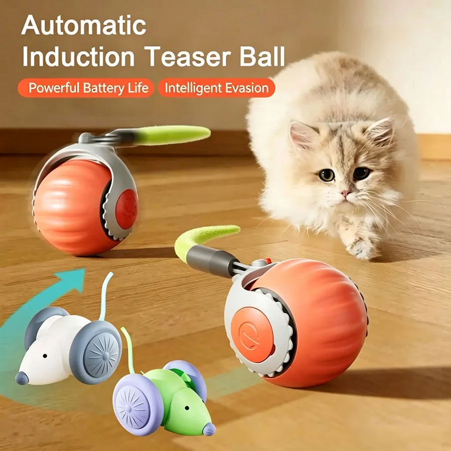 Smart Cat Toys Ball Automatic Interactive Pets Electric Rolling Teaser USB Rechargeable Kitty Moving Bouncing Ball Birthday Gift