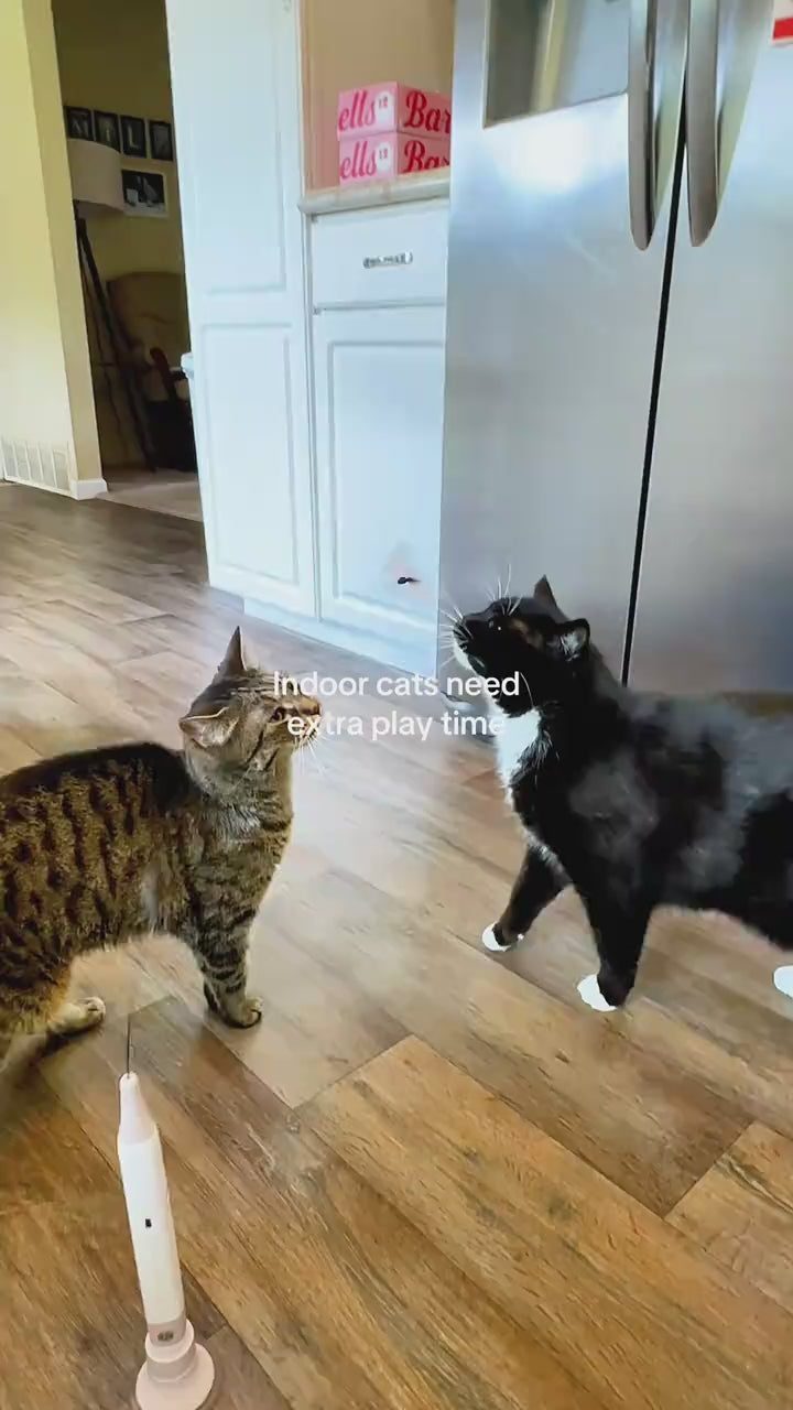 Waggle™ Automatic Butterfly Cat Teaser Wand