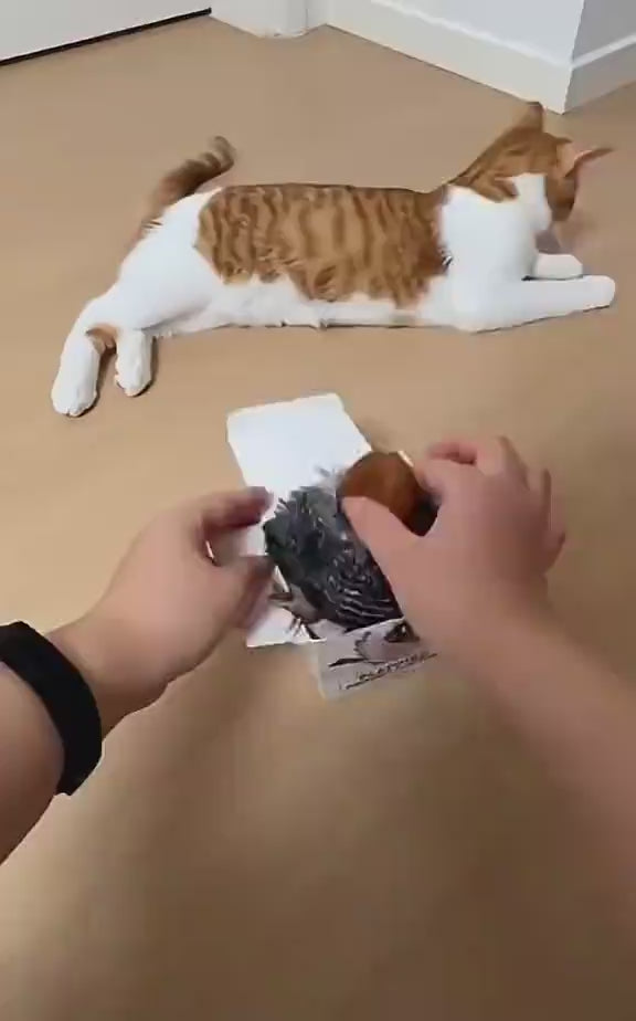 Waggle™ Remote Flappy Bird Cat Toy